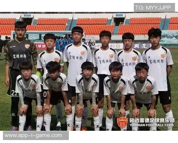 延边富德足球队员在赛季中的表现与成长历程分析与展望 延边富德足球队员在赛季中的表现与成长历程分析与展望